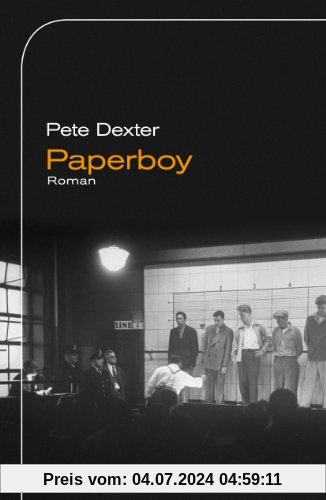 Paperboy: Roman