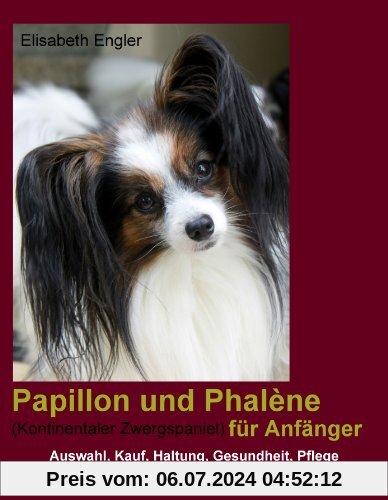 Papillon und Phalène (Kontinentaler Zwergspaniel) für Anfänger: Kauf, Auswahl, Haltung, Gesundheit, Pflege