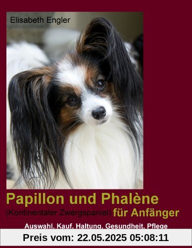 Papillon und Phalène (Kontinentaler Zwergspaniel) für Anfänger: Kauf, Auswahl, Haltung, Gesundheit, Pflege