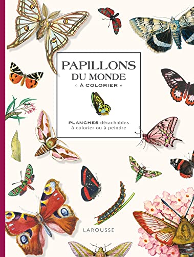 Papillons du monde à colorier: Planches détachables à colorier ou à peindre von LAROUSSE