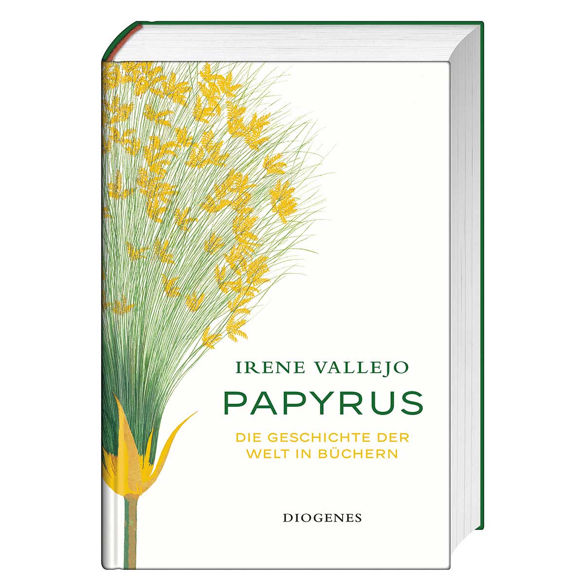 Papyrus von Diogenes Verlag AG