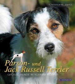Parson- und Jack Russel Terrier von Cadmos