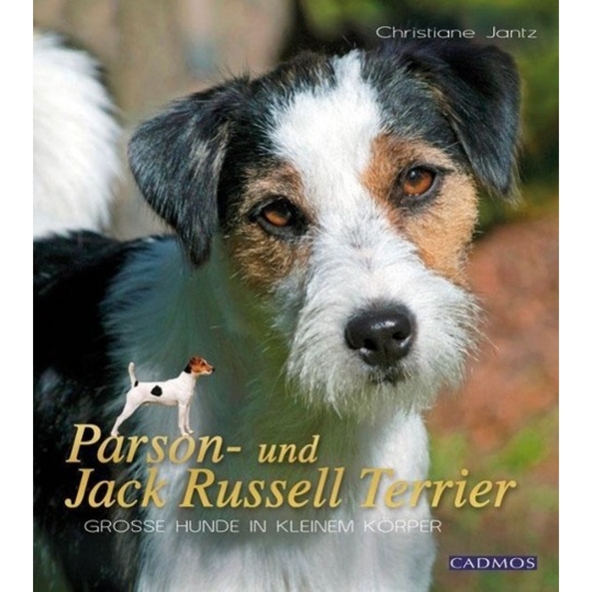 Parson- und Jack Russel Terrier von Cadmos Verlag GmbH
