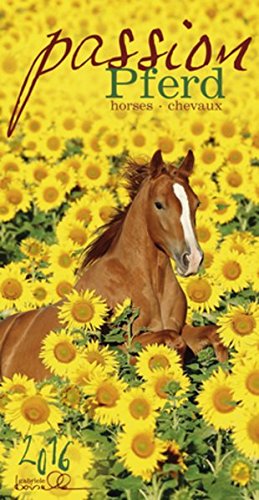 Passion Pferd, Edition Boiselle 2016 von teNeues Calendars & Stationery