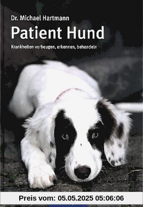 Patient Hund: Krankheiten vorbeugen, erkennen, behandeln