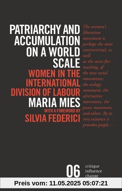 Patriarchy and Accumulation on a World Scale: Women in the International Division of Labour (Critique Influence Change)