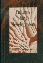 Patterns in Fungal Development