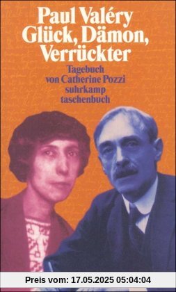 »Paul Valéry - Glück, Dämon, Verrückter«: Tagebuch 1920-1928 (suhrkamp taschenbuch)