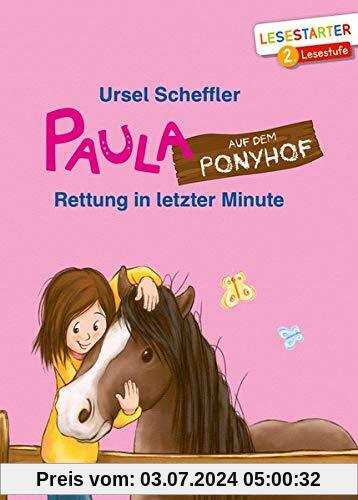 Paula auf dem Ponyhof: Rettung in letzter Minute