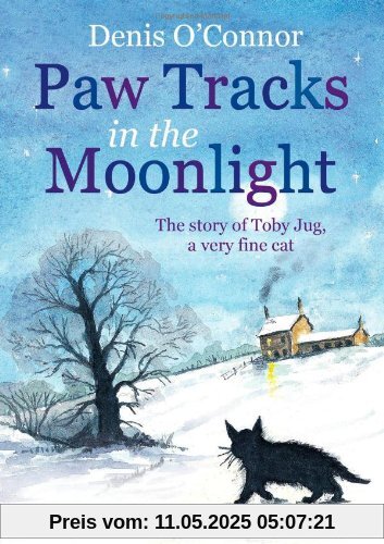 Paw Tracks in the Moonlight