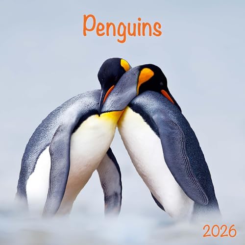 Penguins 2026: Kalender 2026 (Wonderful World) von Tushita PaperArt