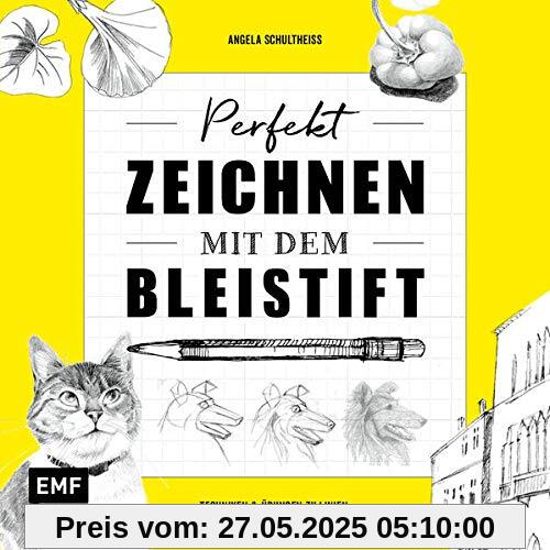 Perfekt zeichnen mit dem Bleistift: Techniken & Übungen zu Linien, Schraffur, Struktur & Perspektive