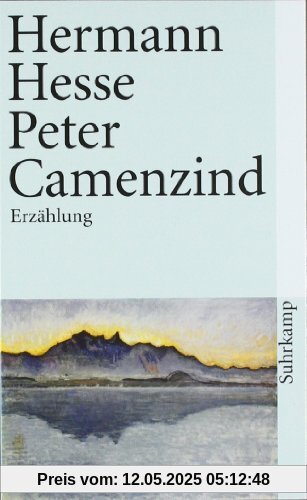 Peter Camenzind: Erzählung (suhrkamp taschenbuch)