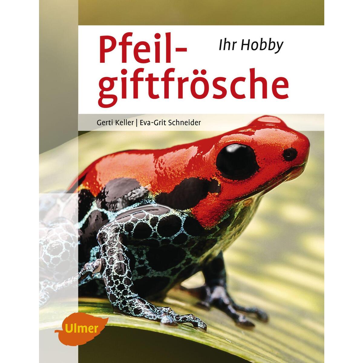 Pfeilgiftfrösche von Ulmer Eugen Verlag
