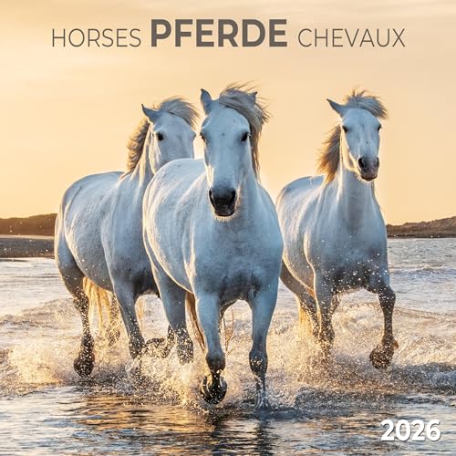 Pferde/Horses 2026: Kalender 2026 (Artwork Edition) von Tushita PaperArt