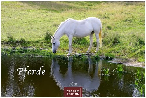 Pferde 2025 S 24x35cm von CASARES EDITION