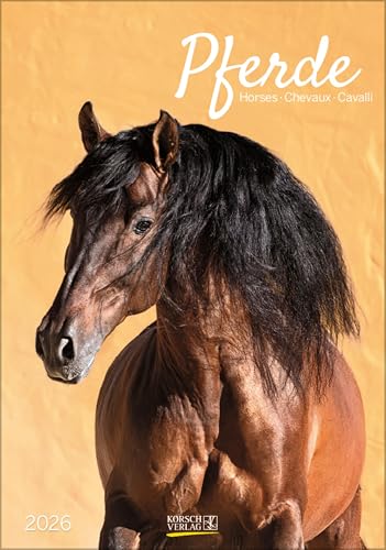 Pferde 2026: Wandkalender mit Fotos von Pferden. Format 23,5 x 33,5 cm. von Korsch Verlag