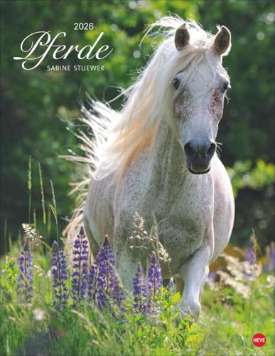 Pferde Classics Posterkalender 2026: Die Eleganz der Tiere in einem Kalender im Posterformat eingefangen von Sabine Stuewer. Hochwertiger Fotokalender für Pferdefreunde. Pferde Classics Posterkalender 2026: Die Eleganz der Tiere in einem Kalender im Posterformat eingefangen von Sabine Stuewer. Hochwertiger Fotokalender für Pferdefreunde. von Heye