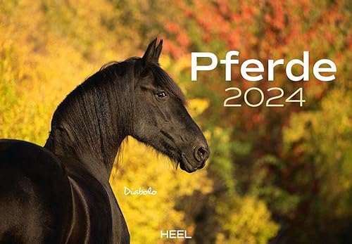 Pferde Kalender 2024 Wandkalender: Der Tierkalender mit den charmanten Namen Pferde Fohlen Stuten Naturkalender von Heel
