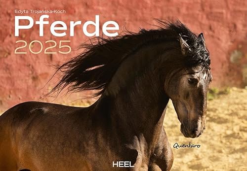 Pferde Kalender 2025 Wandkalender: Der Tierkalender mit den charmanten Namen Pferde Fohlen Stuten Naturkalender von Heel