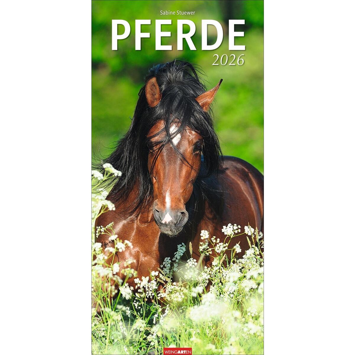 Pferde Kalender 2026 Pferde Kalender 2026 von Weingarten