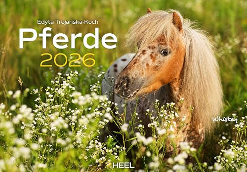 Pferde Kalender 2026 Wandkalender: Der Tierkalender mit den charmanten Namen Pferde Fohlen Stuten Naturkalender von Heel