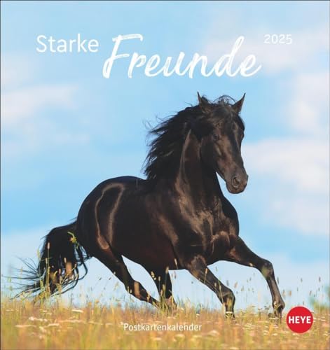 Pferde Postkartenkalender 2025 - Starke Freunde: Pferdefotografin Sabine Stuewer setzt die edlen Tiere in einem kleinen Kalender perfekt in Szene. ... (Postkartenkalender Heye) von Heye