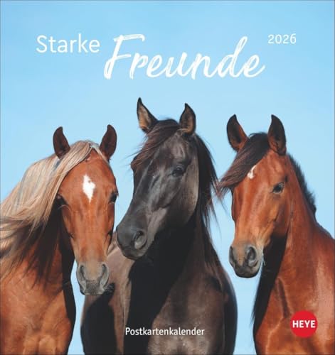 Pferde Postkartenkalender 2026 - Starke Freunde: Pferdefotografin Sabine Stuewer setzt die edlen Tiere in einem kleinen Kalender perfekt in Szene. ... (Postkartenkalender Heye) von Heye