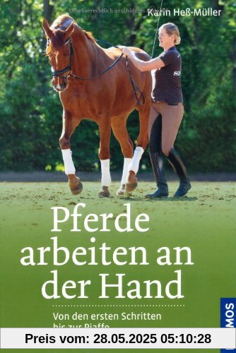 Pferde arbeiten an der Hand: Von den ersten Schritten bis zur Piaffe