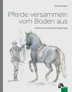 Pferde versammeln vom Boden aus von FN-Verlag