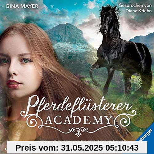 Pferdeflüsterer-Academy. Ein geheimes Versprechen (Die Pferdeflüsterer-Academy, Band 2)