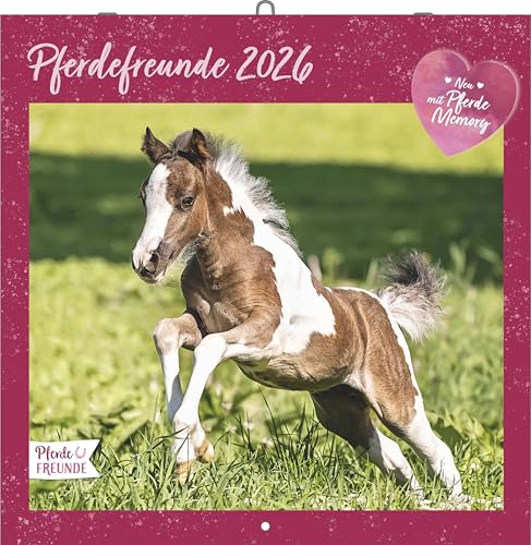 Pferdefreunde 2026 - Broschürenkalender - Kinder-Kalender - Format 30 x 30 cm von ALPHA EDITION