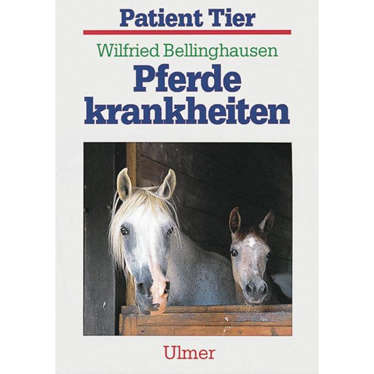 Pferdekrankheiten von Ulmer Eugen Verlag