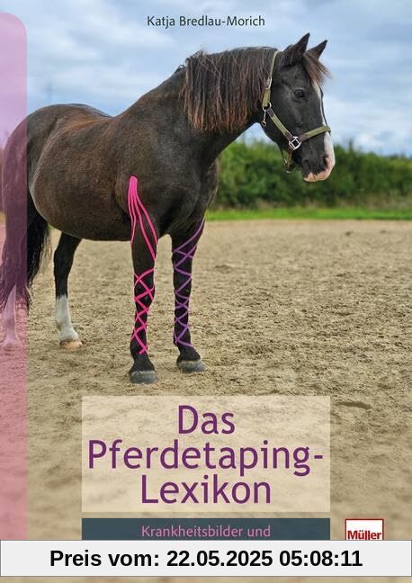 Pferdetaping-Lexikon: Krankheitsbilder und ihre Tapinganlagen