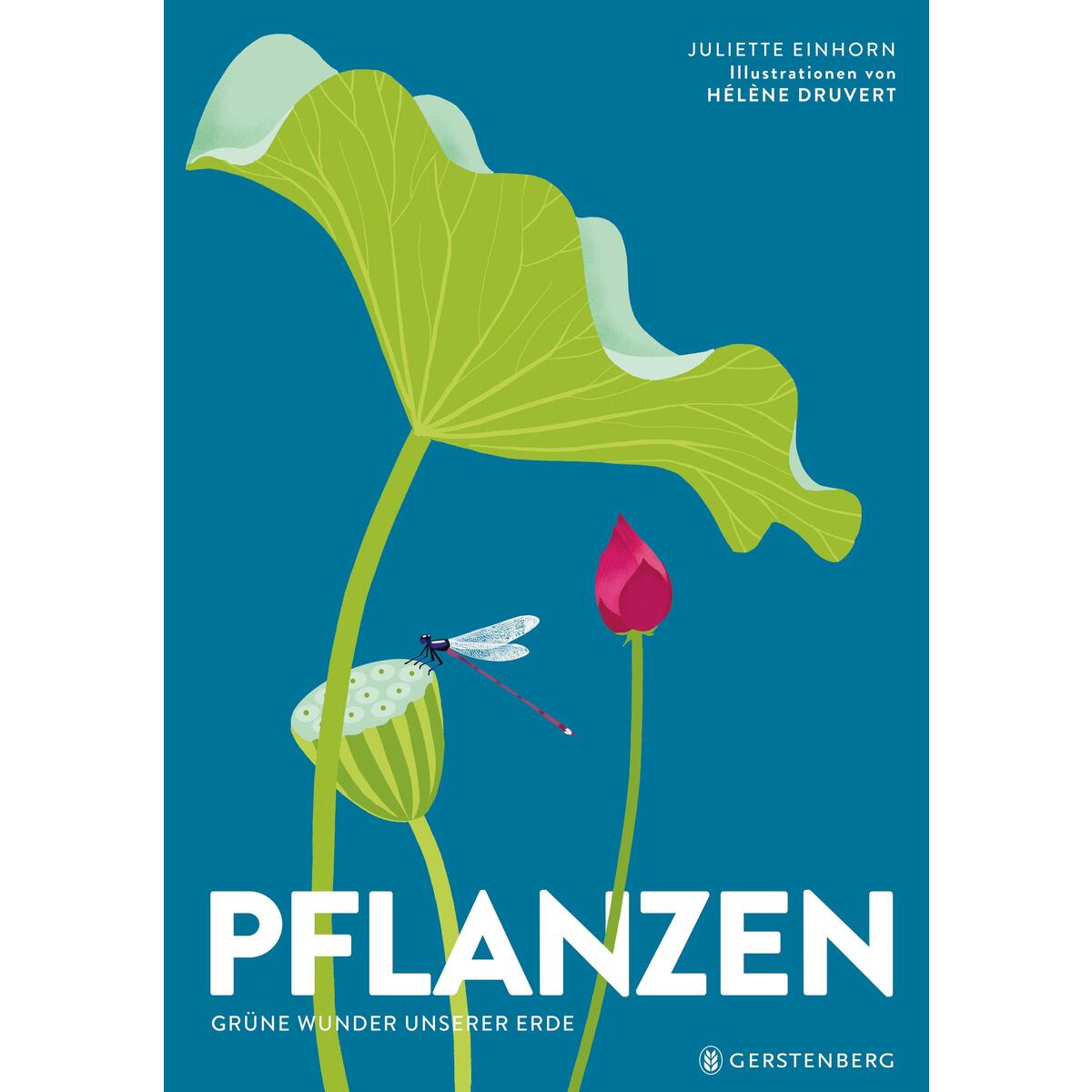 Pflanzen von Gerstenberg Verlag