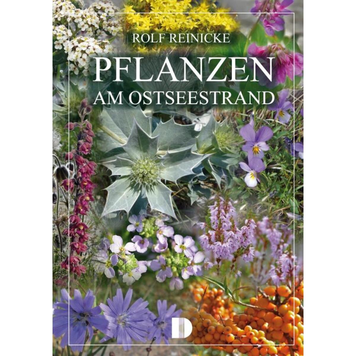 Pflanzen am Ostseestrand von Demmler Verlag GmbH