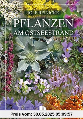 Pflanzen am Ostseestrand