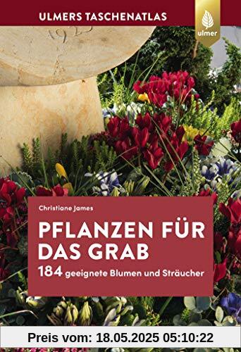 Pflanzen für das Grab: 184 geeignete Blumen und Sträucher
