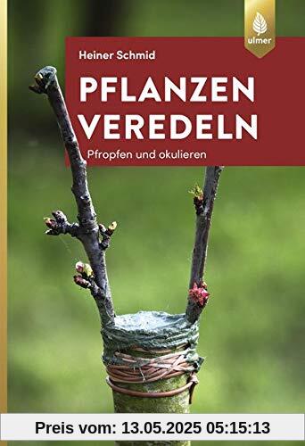 Pflanzen veredeln: Pfropfen und Okulieren