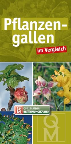 Pflanzengallen im Vergleich (Quelle & Meyer Bestimmungskarten)