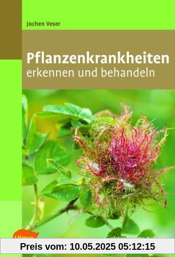 Pflanzenkrankheiten: Erkennen und behandeln