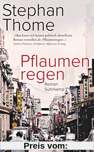 Pflaumenregen: Roman | Ein historisches Panorama Taiwans und eine packenden Familiengeschichte (suhrkamp taschenbuch)