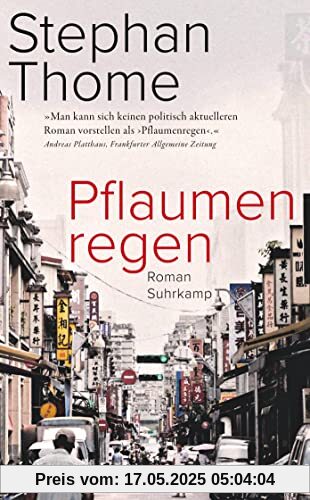 Pflaumenregen: Roman | Ein historisches Panorama Taiwans und eine packenden Familiengeschichte (suhrkamp taschenbuch)