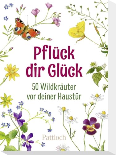 Pflück dir Glück: 50 Wildkräuter vor deiner Haustür | Kartenbox zur Bestimmung von Wildkräutern mit Bildern und Rezeptideen (Geschenke für Naturliebhaber und Gartenfreunde) von Pattloch Geschenkbuch