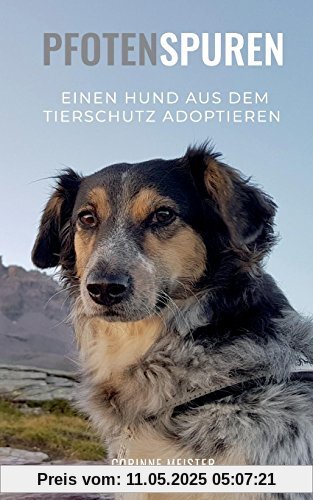 Pfotenspuren: Einen Hund aus dem Tierschutz adoptieren