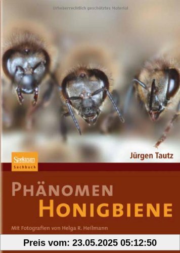 Phänomen Honigbiene Phänomen Honigbiene