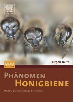 Phänomen Honigbiene von Spektrum Akademischer Verlag / Springer Spektrum / Springer, Berlin