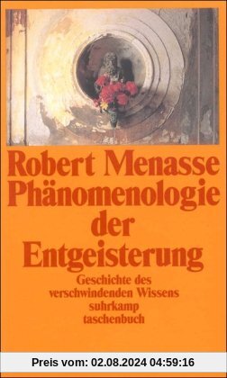 Phänomenologie der Entgeisterung: Geschichte des verschwindenden Wissens (suhrkamp taschenbuch)