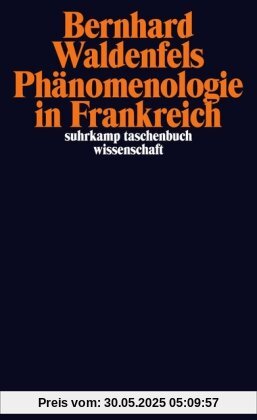 Phänomenologie in Frankreich (suhrkamp taschenbuch wissenschaft)