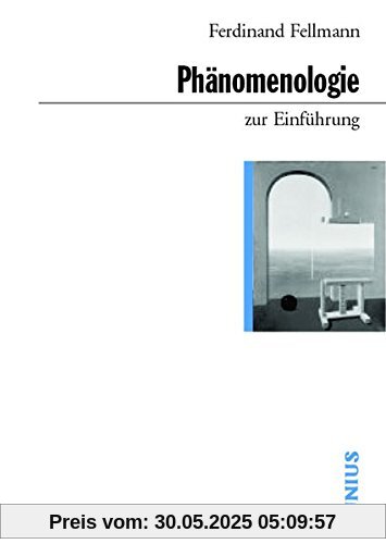 Phänomenologie zur Einführung